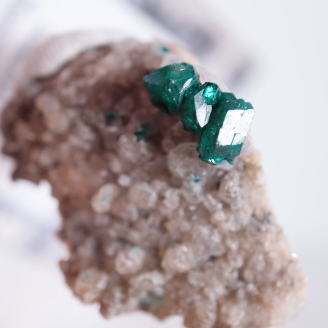 カザフスタン産 ダイオプテーズ | 鉱物標本,タ行,ダイオプテーズ