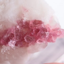 ����ꥫ��������