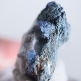 ����ե���˥������٥˥ȥ�����