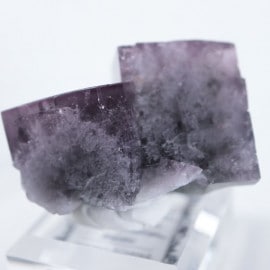 Purple Rain Pocket�����ե����饤��