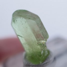 �ѥ������󻺡��ڥ�ɥå�