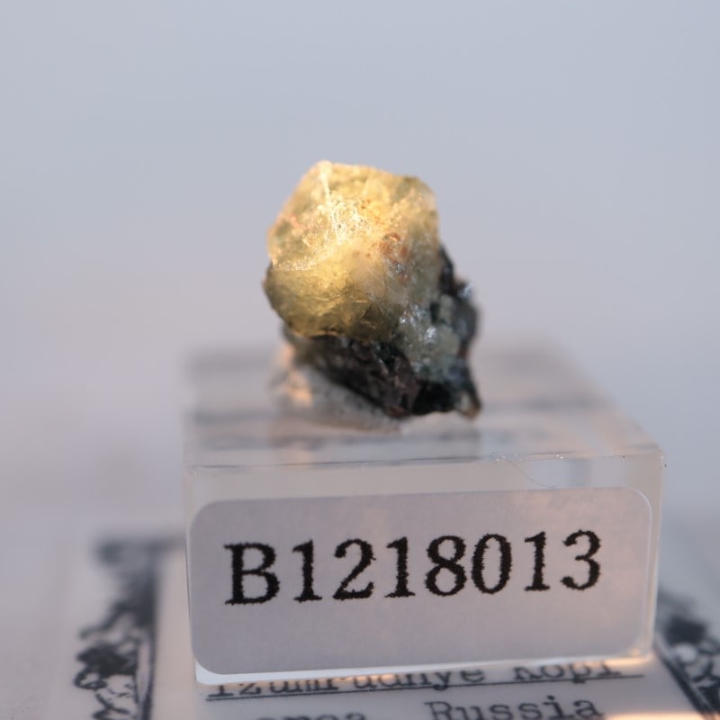 ロシア産 クリソベリル | 鉱物標本,カ行,クリソベリル/金緑石 | ほたる