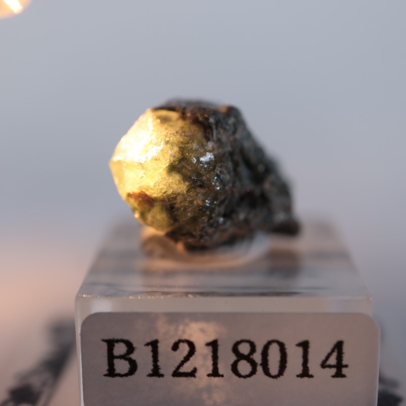 ロシア産 クリソベリル | 鉱物標本,カ行,クリソベリル/金緑石 | ほたる