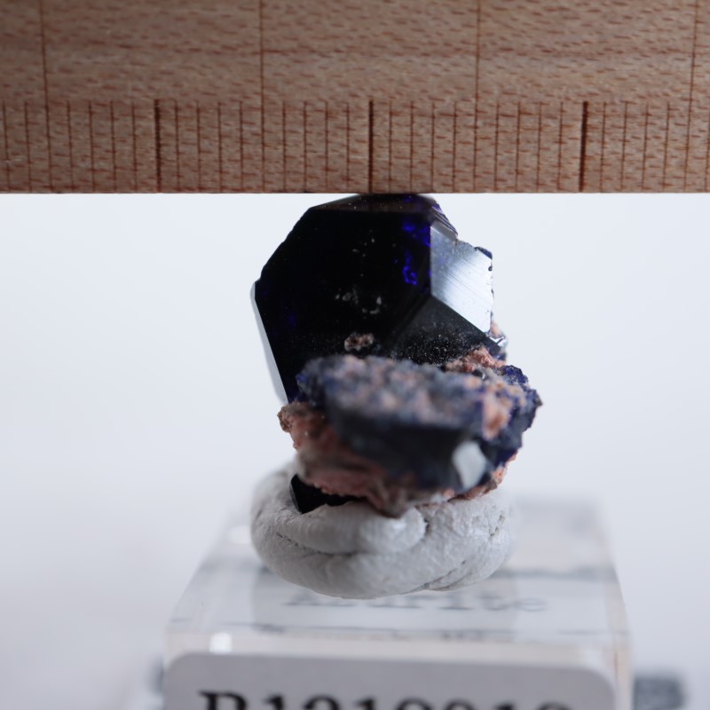 ツメブ鉱山産 アズライト | 鉱物標本,ア行,アズライト/藍銅鉱 | ほたる