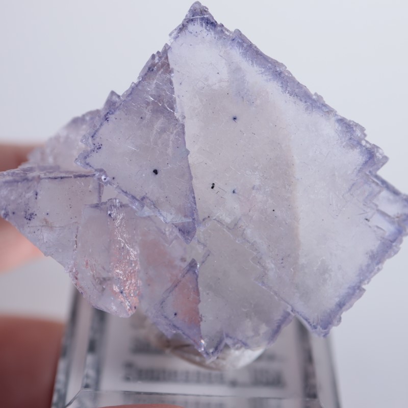 エルムウッド鉱山 フローライト | 鉱物標本,ハ行,フローライト/蛍石