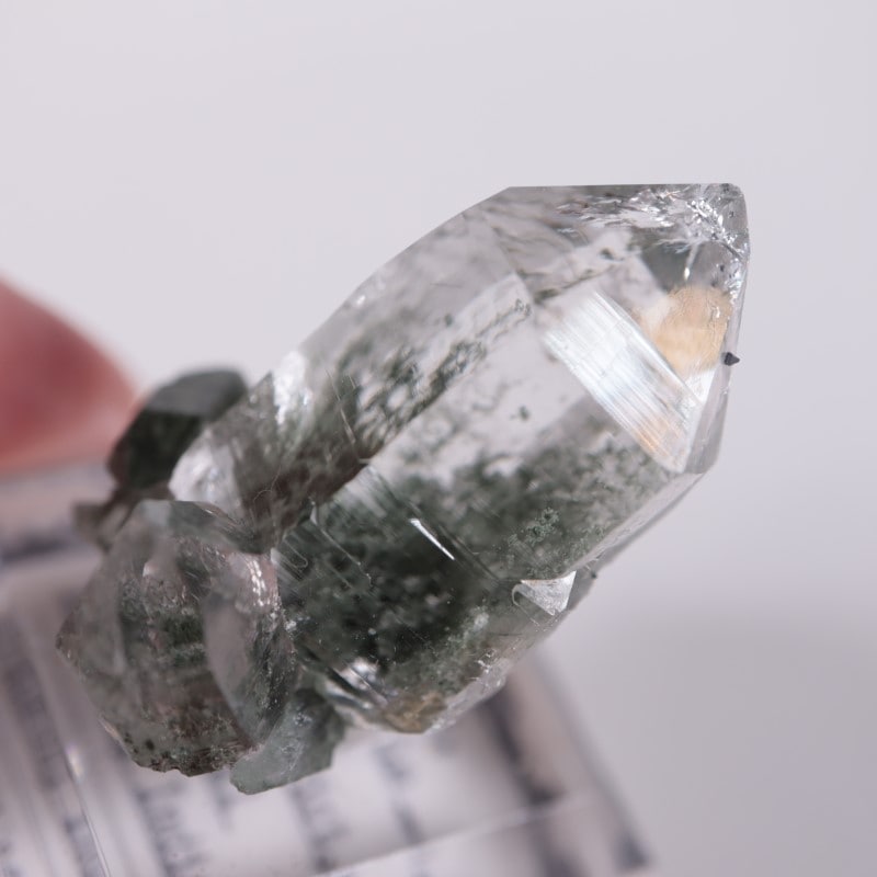 インド産 クローライトインクォーツ | 鉱物標本,カ行,クォーツ/水晶