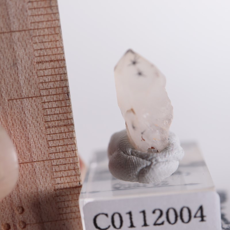 ホーランダイトin水晶 マダガスカル産 | 鉱物標本,カ行,クォーツ