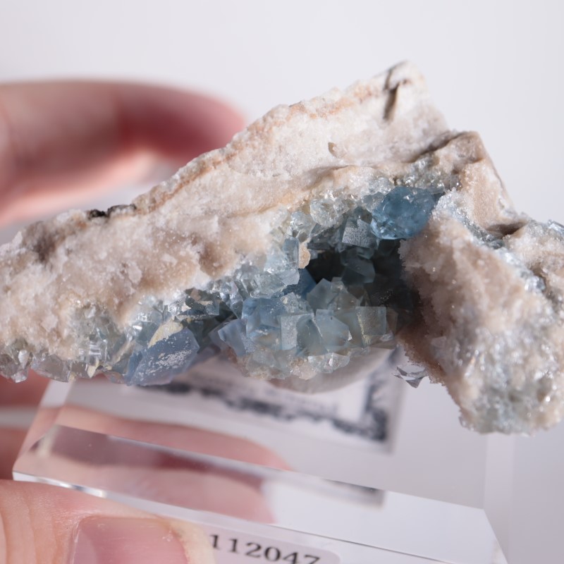 フローライト ビンガム Blanchard Mine産 蛍石 原石 Blanchard Mine産 フローライト | 鉱物標本,ハ行,フローライト