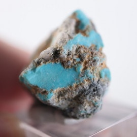 Morenci�ۻ�������������