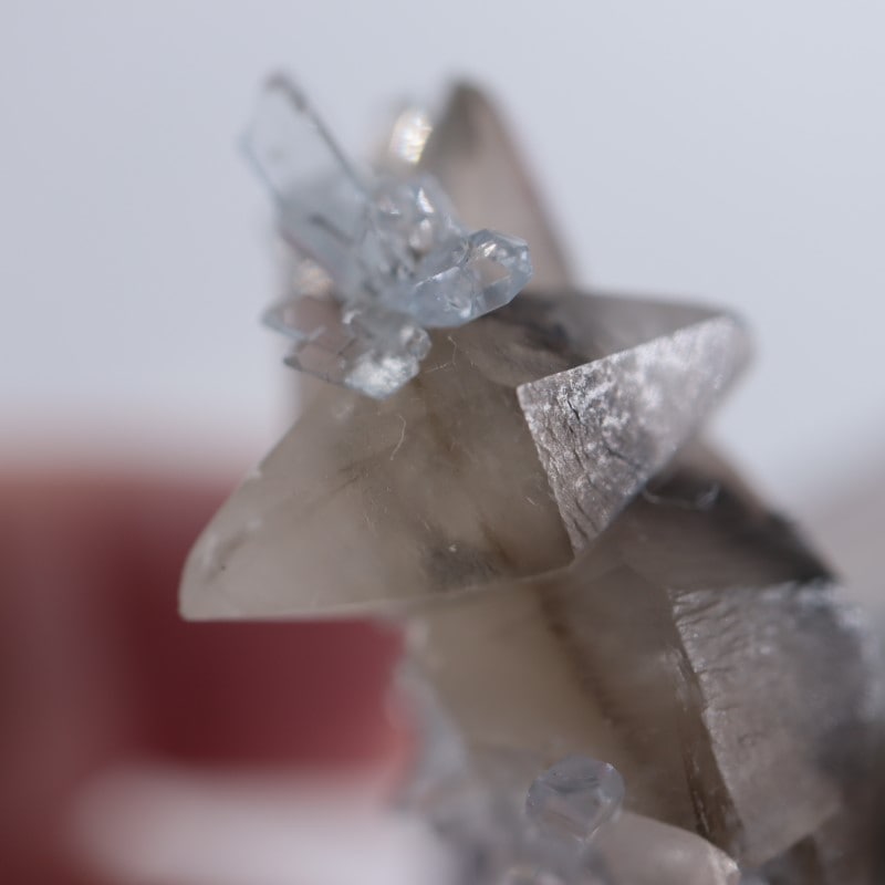 セレスタイトonカルサイト | 鉱物標本,カ行,カルサイト/方解石