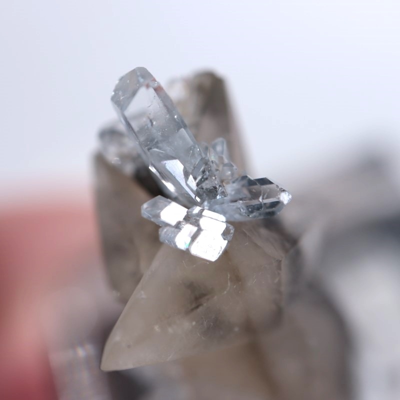 セレスタイトonカルサイト | 鉱物標本,カ行,カルサイト/方解石