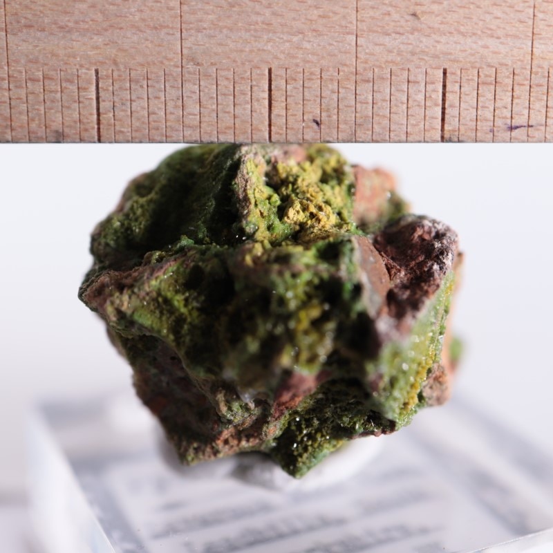 イギリス産 パイロモルファイト | 鉱物標本,ハ行,パイロモルファイト