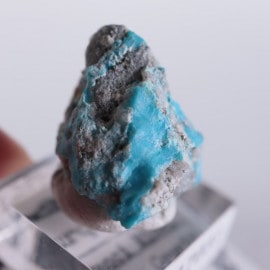 Morenci�ۻ�������������