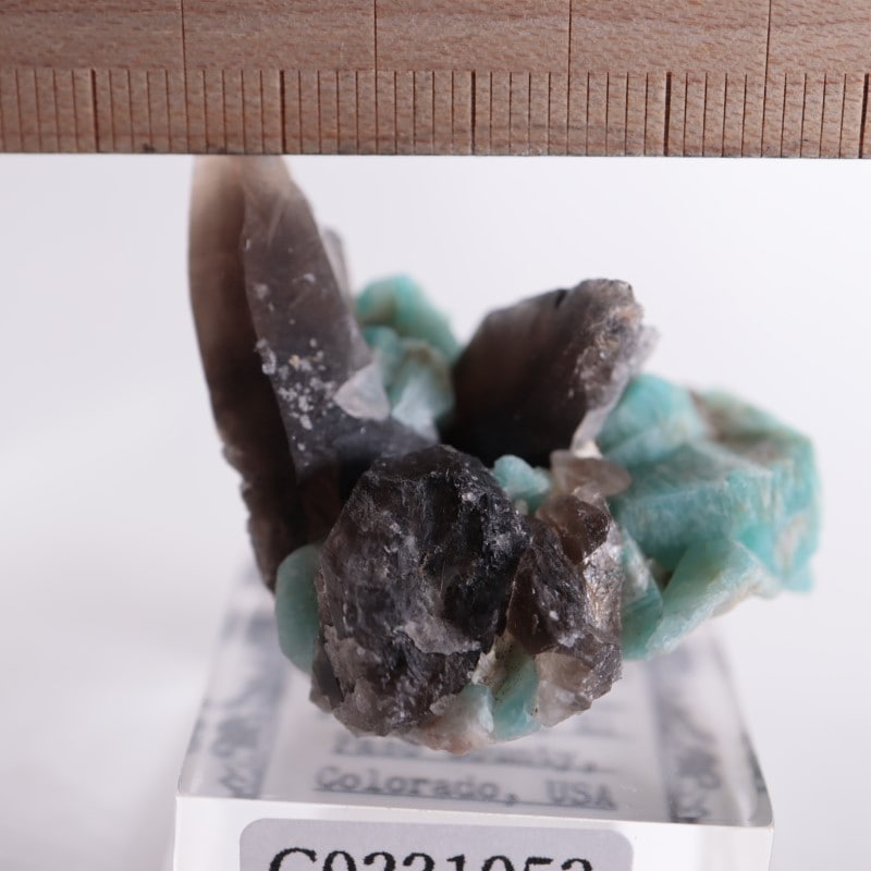 コロラド州 アマゾナイト、煙水晶 | 鉱物標本,カ行,クォーツ/水晶