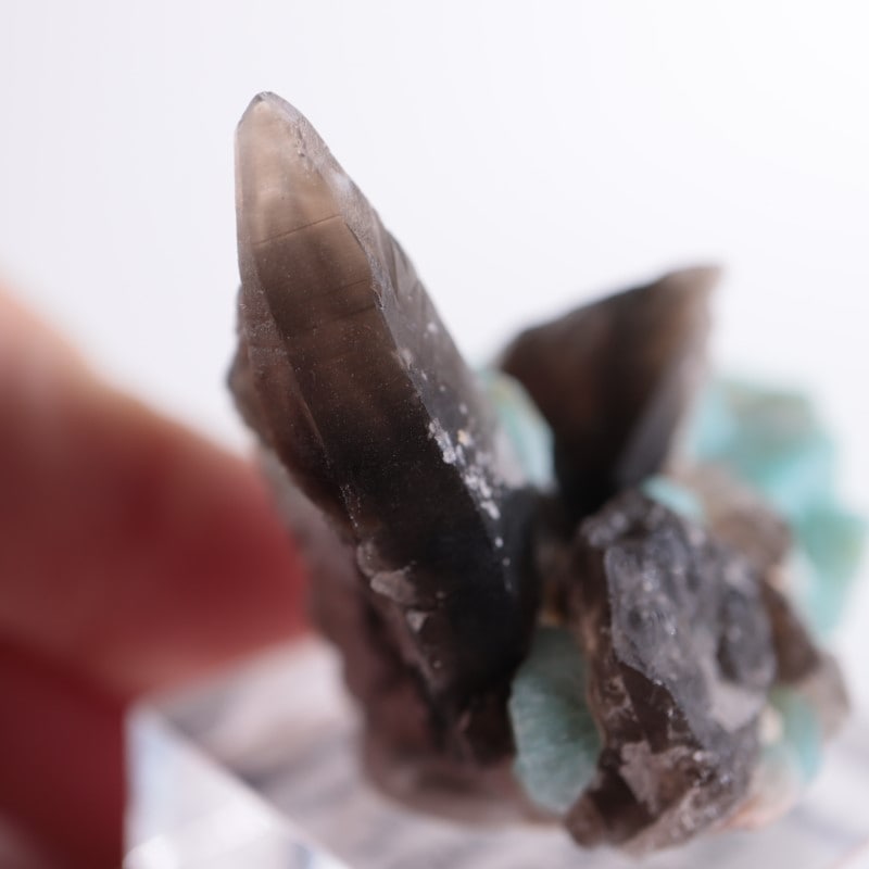 コロラド州 アマゾナイト、煙水晶 | 鉱物標本,カ行,クォーツ/水晶