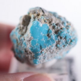 Morenci�ۻ�������������