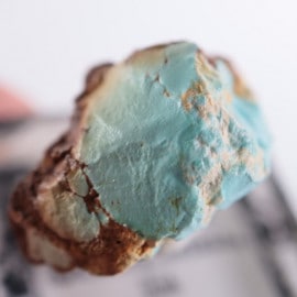 Royston�ۻ�������������