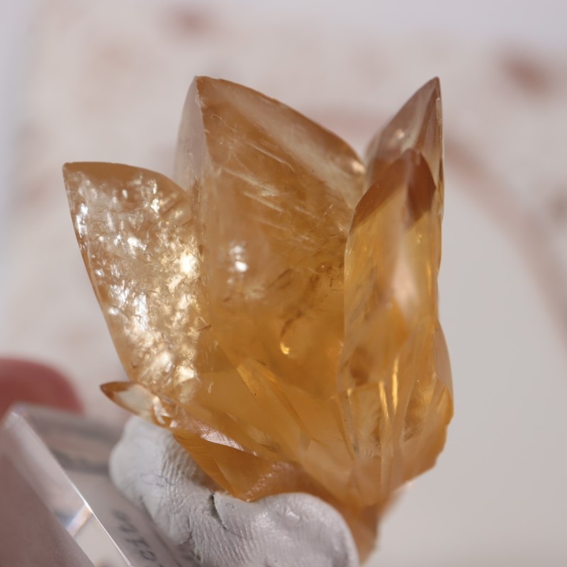 貝化石カルサイト | 鉱物標本,カ行,カルサイト/方解石 | ほたるみねら