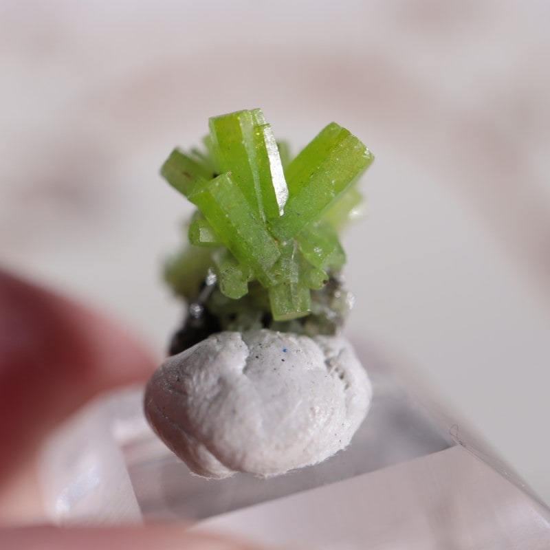 中国産 パイロモルファイト | 鉱物標本,ハ行,パイロモルファイト/緑鉛