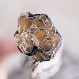 ���ʥ������ݥ���������