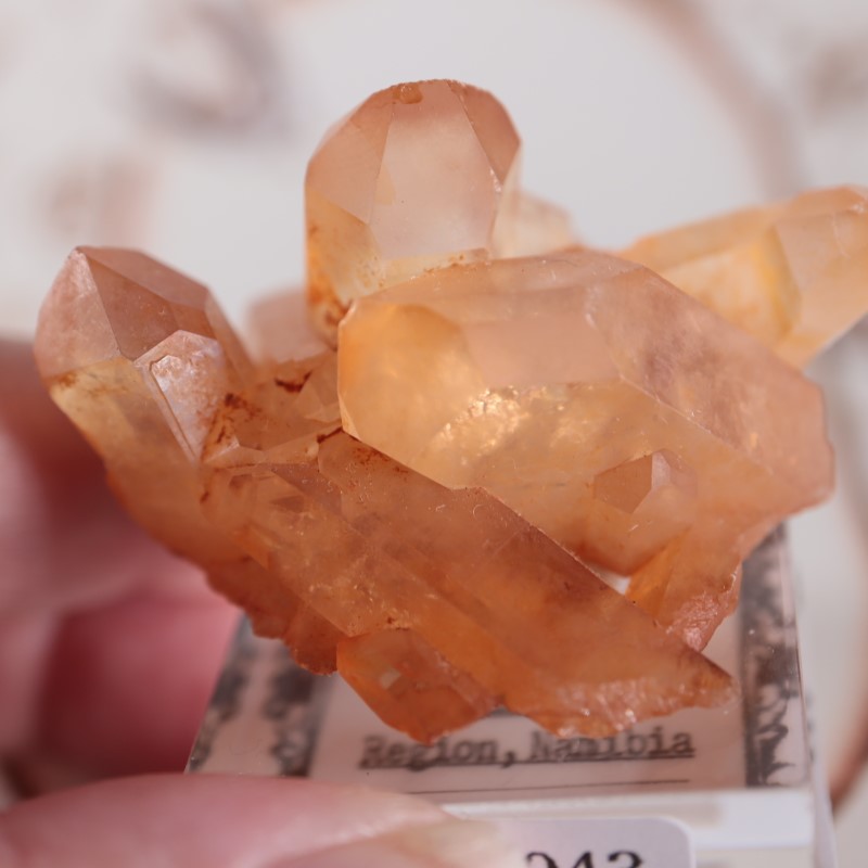オレンジリバー水晶 | 鉱物標本,カ行,クォーツ/水晶 | ほたるみねらる