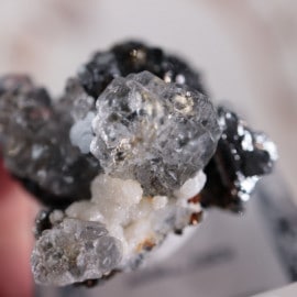 �ڥ롼�����ե����饤�ȡ����ե���饤��