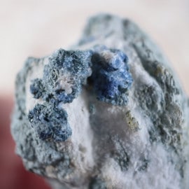 ����ꥫ�����٥˥ȥ�����