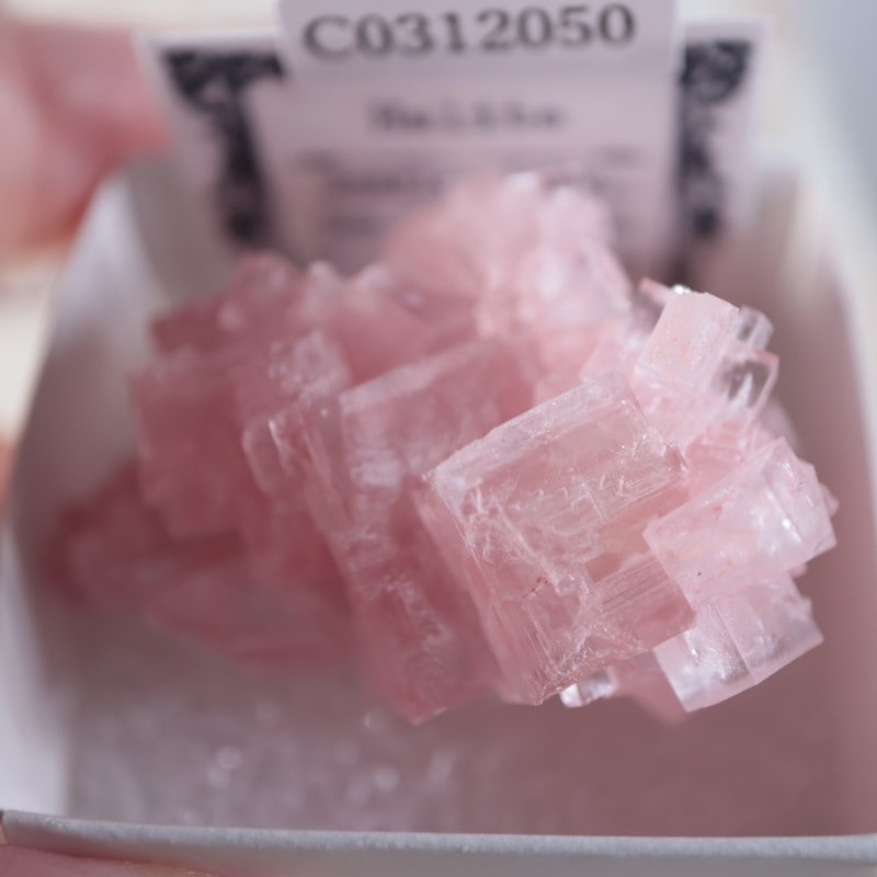 カリフォルニア州産 ピンクハライト | 鉱物標本,ハ行,ハライト/岩塩