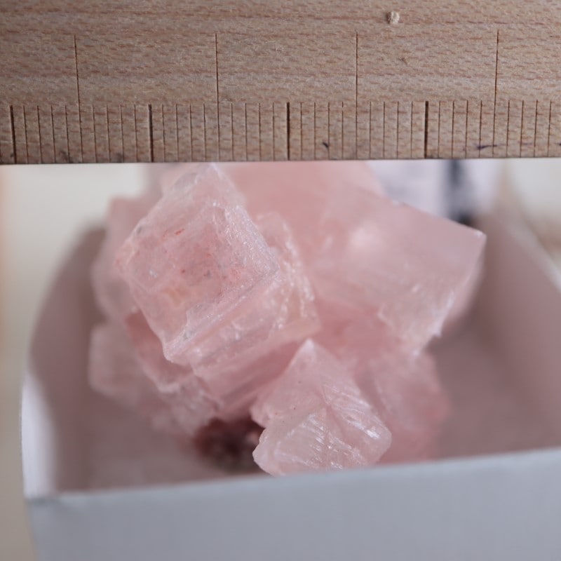 カリフォルニア州産 ピンクハライト | 鉱物標本,ハ行,ハライト/岩塩