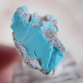 Morenci�ۻ���������������