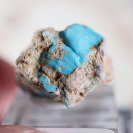 Morenci�ۻ���������������