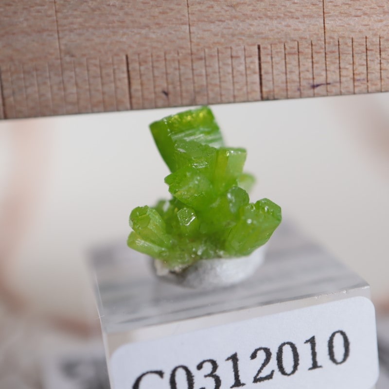 中国・広西産 パイロモルファイト（Pyromorphite）結晶標本｜鮮緑色