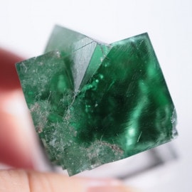 The Hidden Forest Pocket���ե����饤��