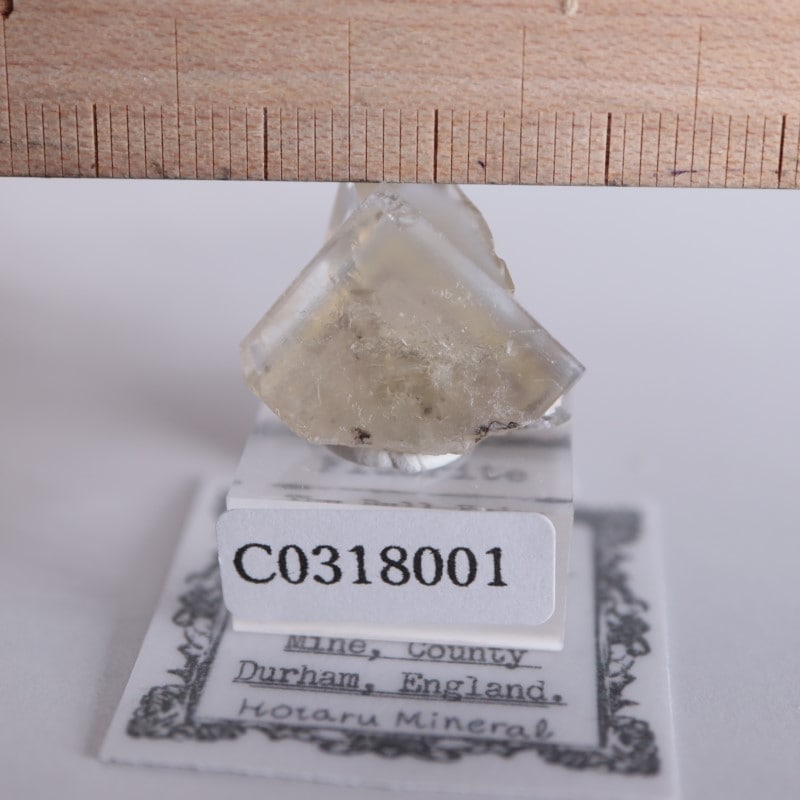 The Bull Vein フローライト（蛍石） | 鉱物標本,ハ行,フローライト/蛍