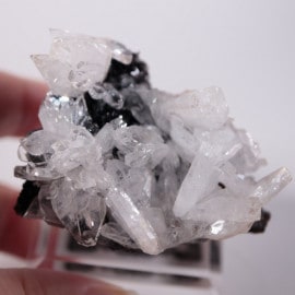 Santa Eulalia�����إߥ��ե�����