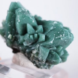 Shakur�������ݥե��饤��