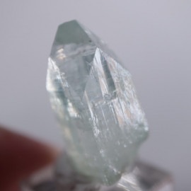 Vambori�������ݥե��饤��