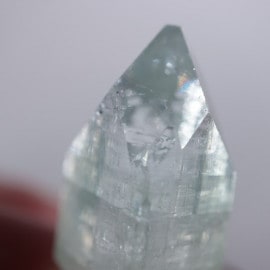 Vambori�������ݥե��饤��