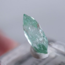 Wagholi�������ݥե��饤��