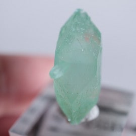 Wagholi�������ݥե��饤��