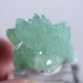 Wagholi�������ݥե��饤��