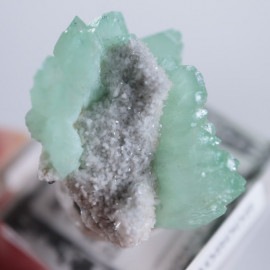 Wagholi�������ݥե��饤��