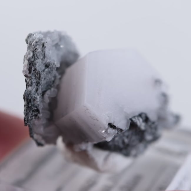 中国産 マンガノカルサイト | 鉱物標本,カ行,カルサイト/方解石