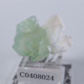 Lonavala�������ݥե��饤��