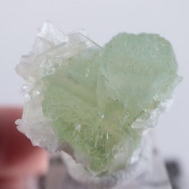 Lonavala�������ݥե��饤��