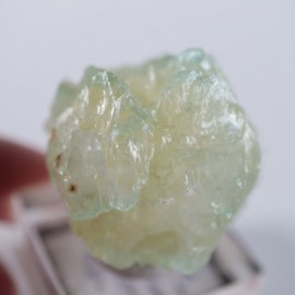 Lonavala�������ݥե��饤��