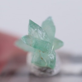 Wagholi Quarries�����ݥե��饤��