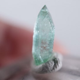 Wagholi�������ݥե��饤��