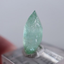 Wagholi�������ݥե��饤��