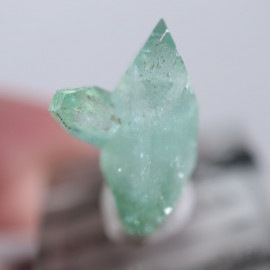 Wagholi�������ݥե��饤��